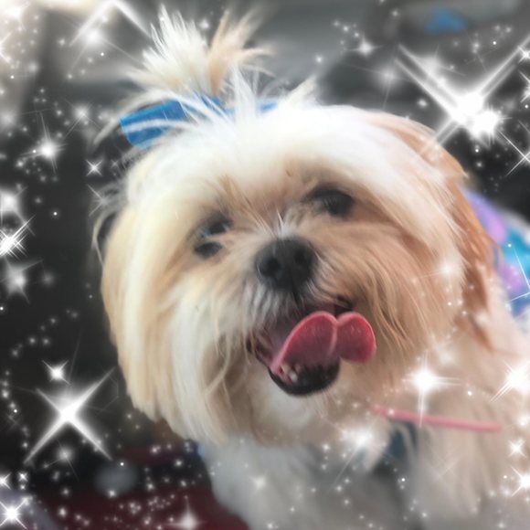 Meet your Posher, Eryn - Picture 1 of 1